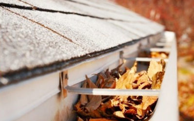Don’t Forget About Gutter Maintenance This Summer